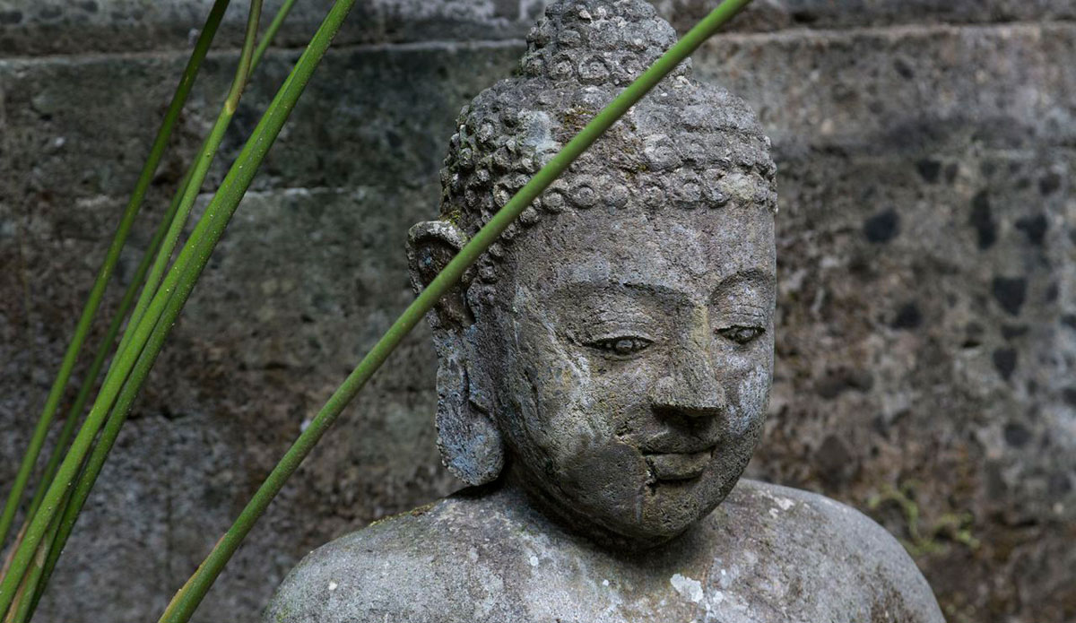 Photo: <a href=\"https://gtaylor.photoshelter.com/gallery-list\"> Grant Taylor</a>