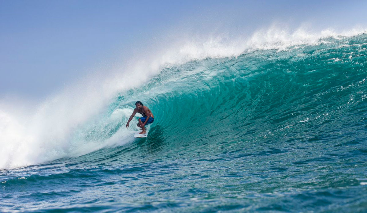 Photo: <a href=\"https://gtaylor.photoshelter.com/gallery-list\"> Grant Taylor</a>