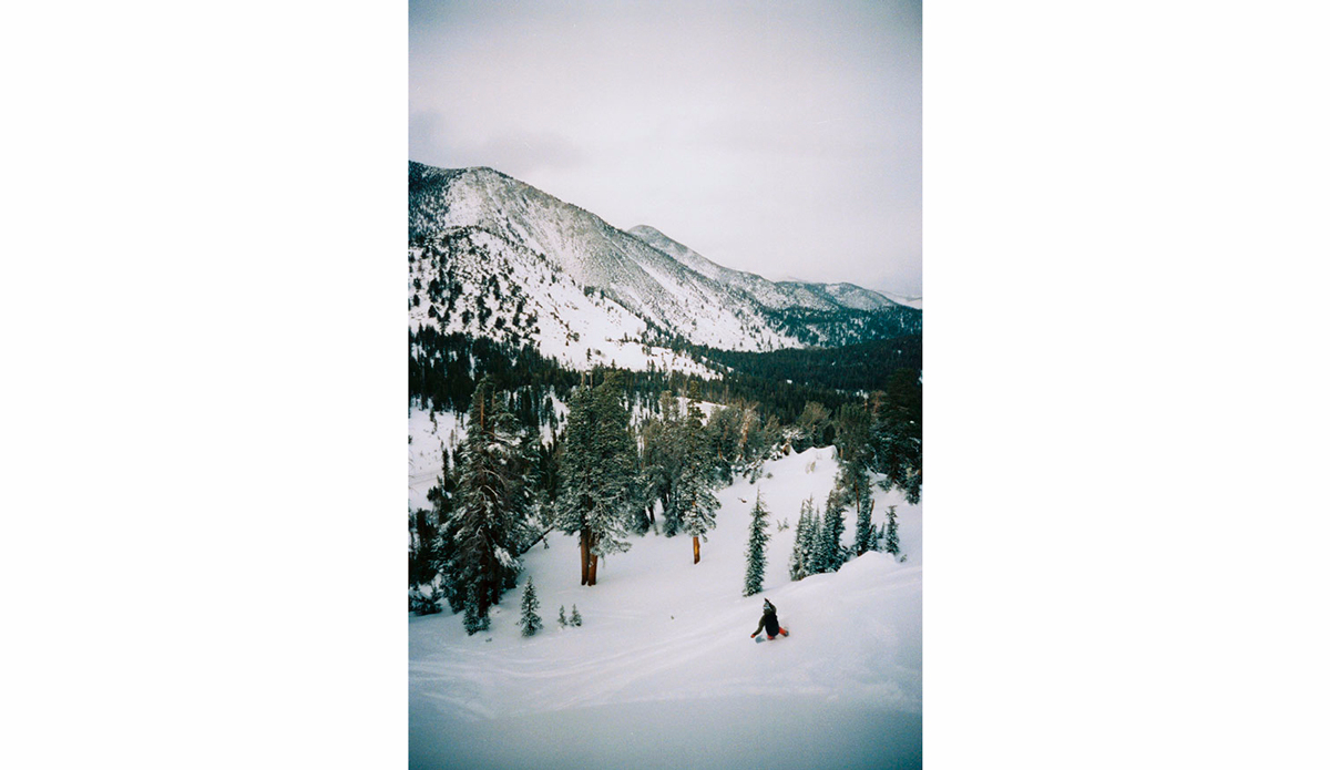 Photo: Max Houtzager