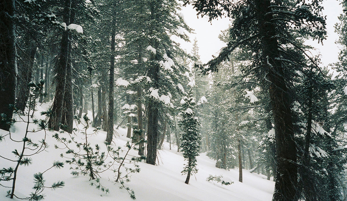 Photo: Max Houtzager