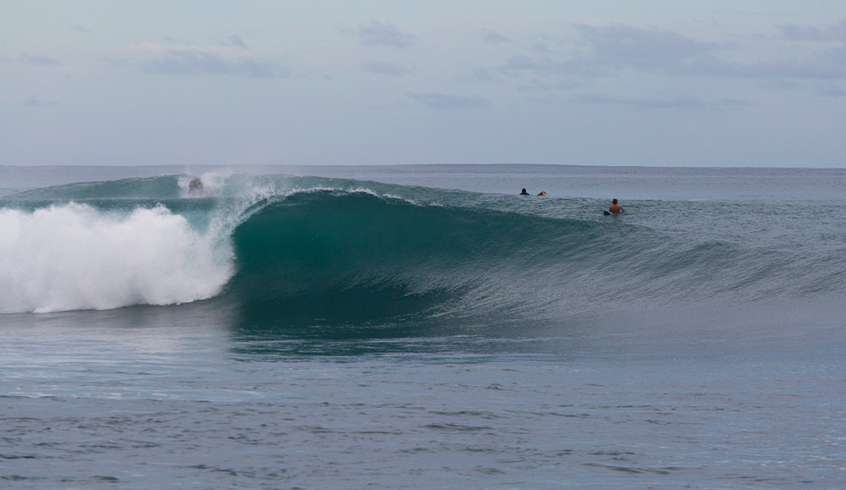 Photo: <a href=\"https://www.nickliotta.com\">Nick Liotta</a>