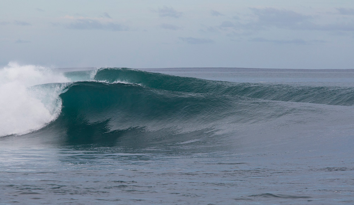 Photo: <a href=\"https://www.nickliotta.com\">Nick Liotta</a>