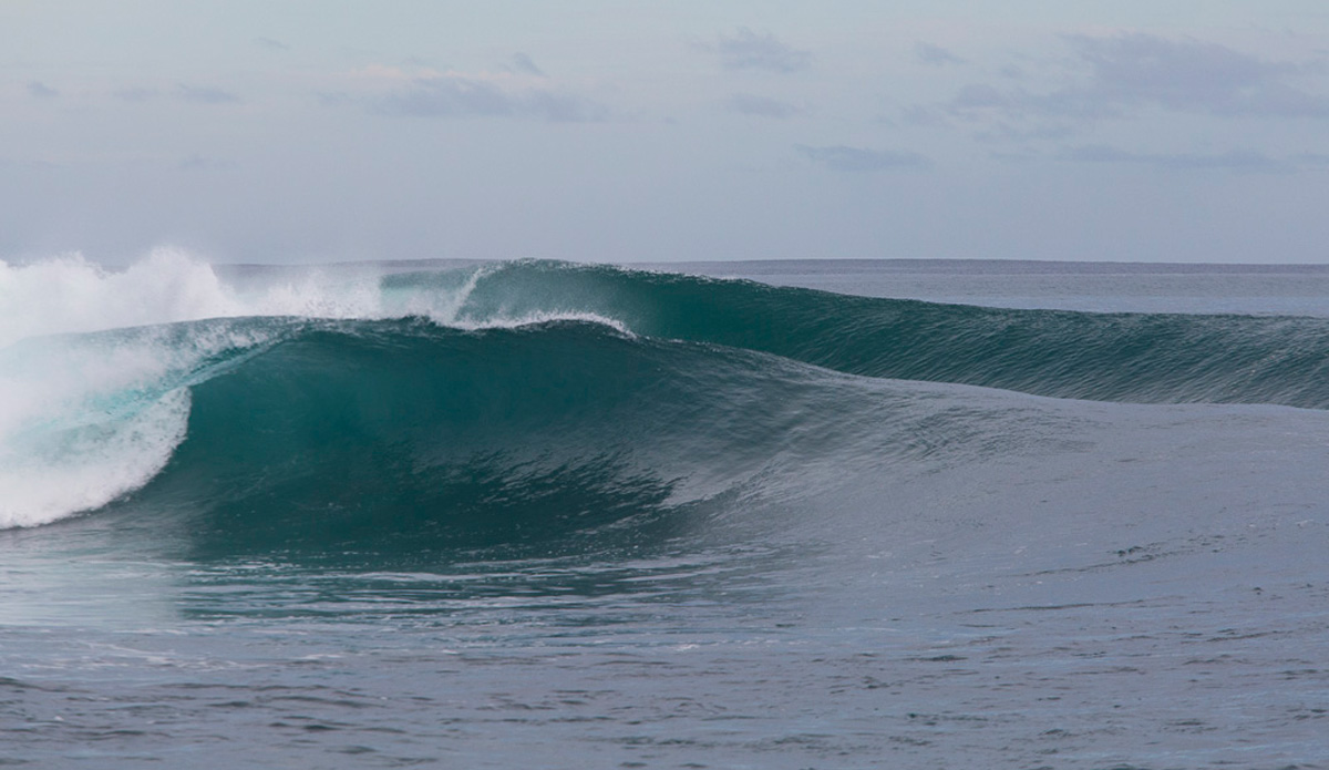 Photo: <a href=\"https://www.nickliotta.com\">Nick Liotta</a>