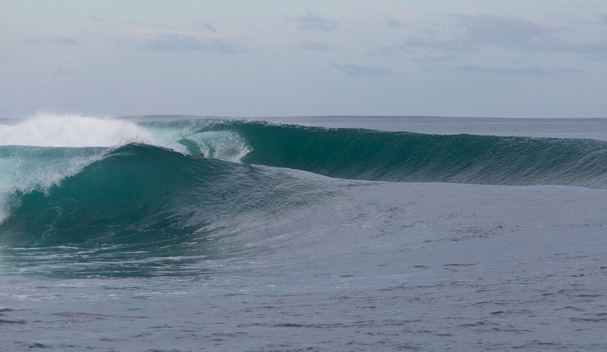 Photo: <a href=\"https://www.nickliotta.com\">Nick Liotta</a>