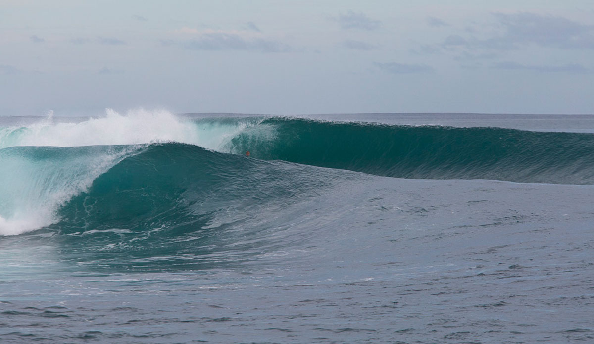 Photo: <a href=\"https://www.nickliotta.com\">Nick Liotta</a>