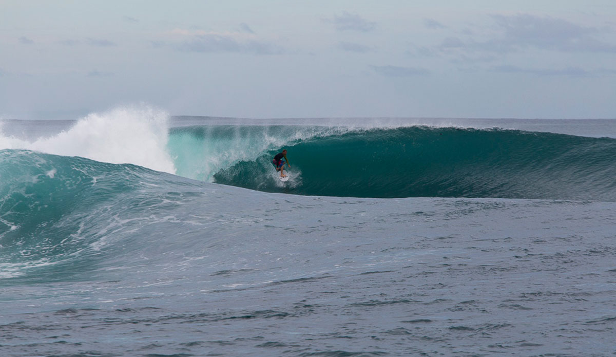 Photo: <a href=\"https://www.nickliotta.com\">Nick Liotta</a>