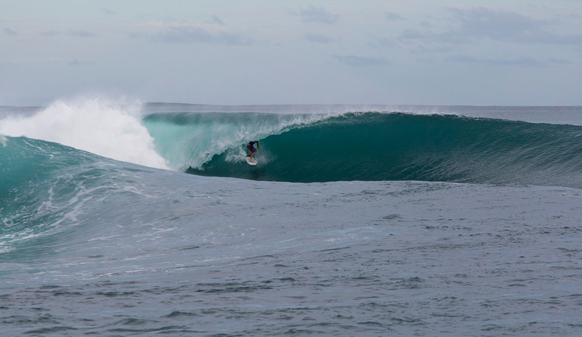 Photo: <a href=\"https://www.nickliotta.com\">Nick Liotta</a>