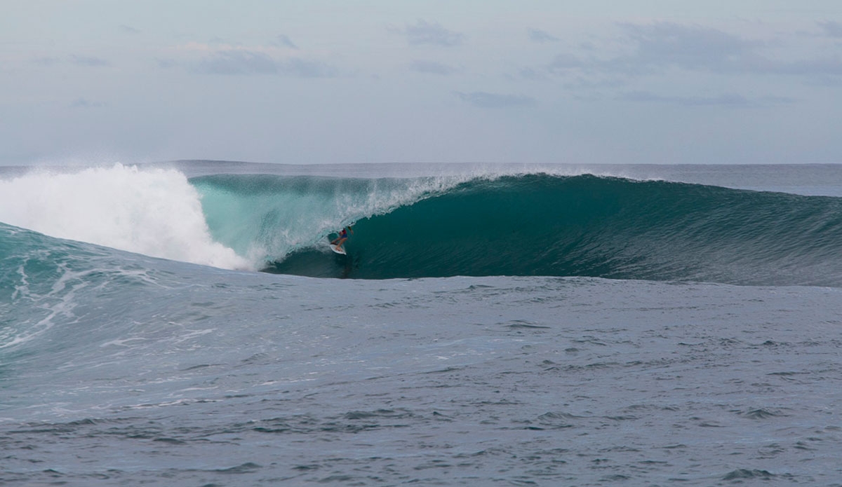 Photo: <a href=\"https://www.nickliotta.com\">Nick Liotta</a>