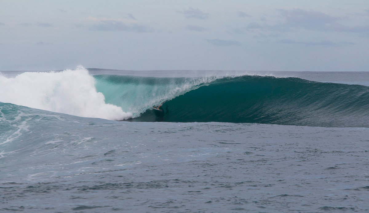 Photo: <a href=\"https://www.nickliotta.com\">Nick Liotta</a>