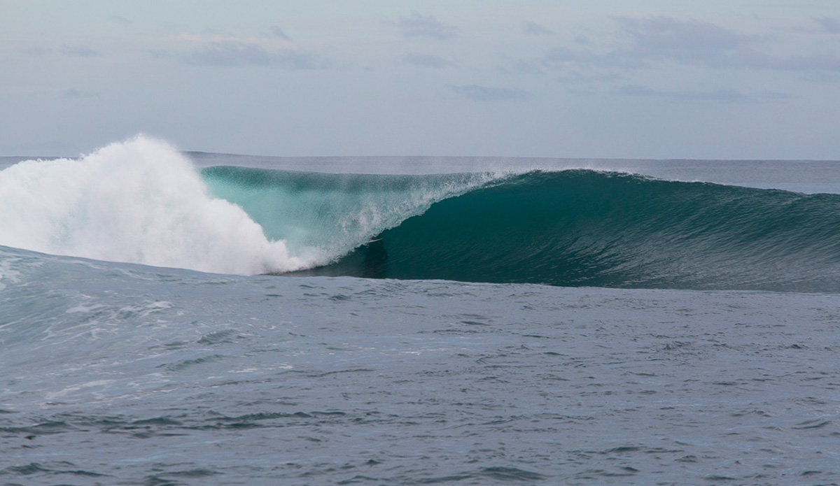 Photo: <a href=\"https://www.nickliotta.com\">Nick Liotta</a>