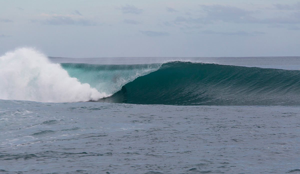 Photo: <a href=\"https://www.nickliotta.com\">Nick Liotta</a>