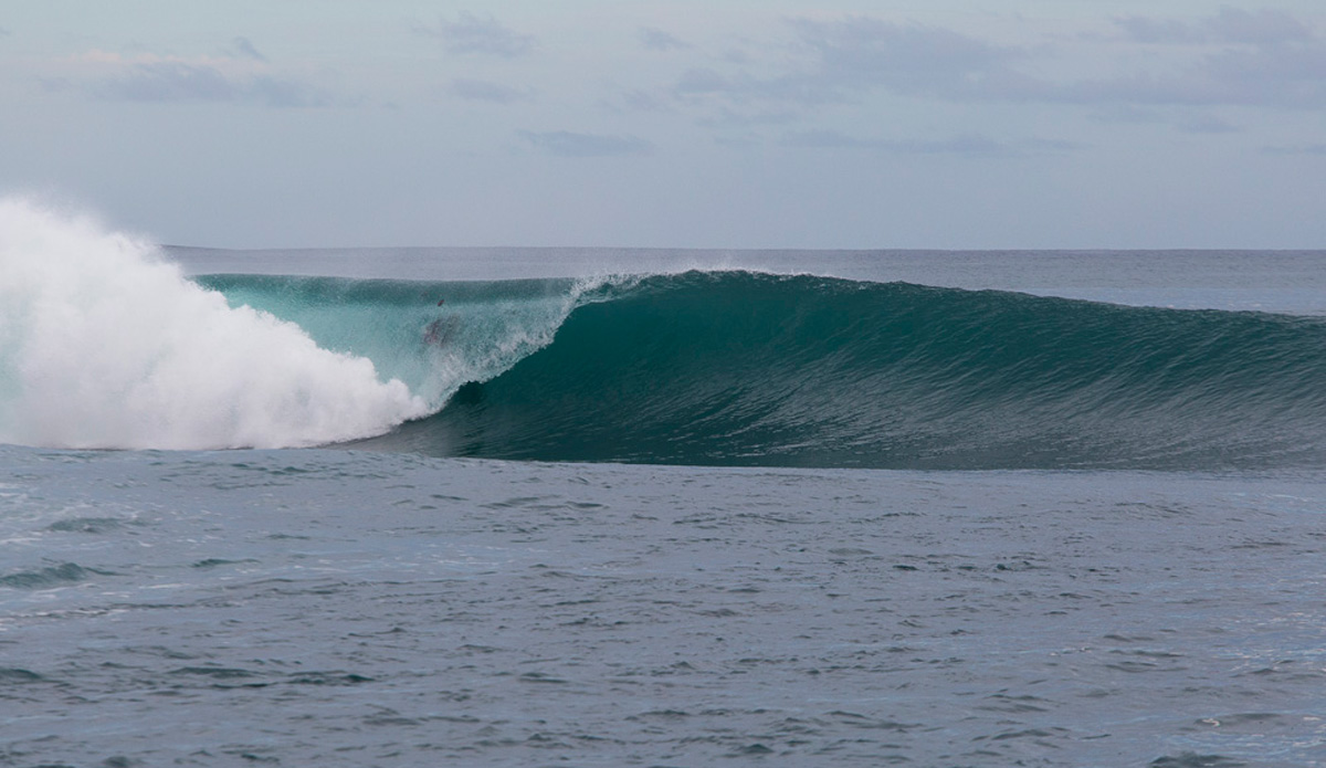 Photo: <a href=\"https://www.nickliotta.com\">Nick Liotta</a>