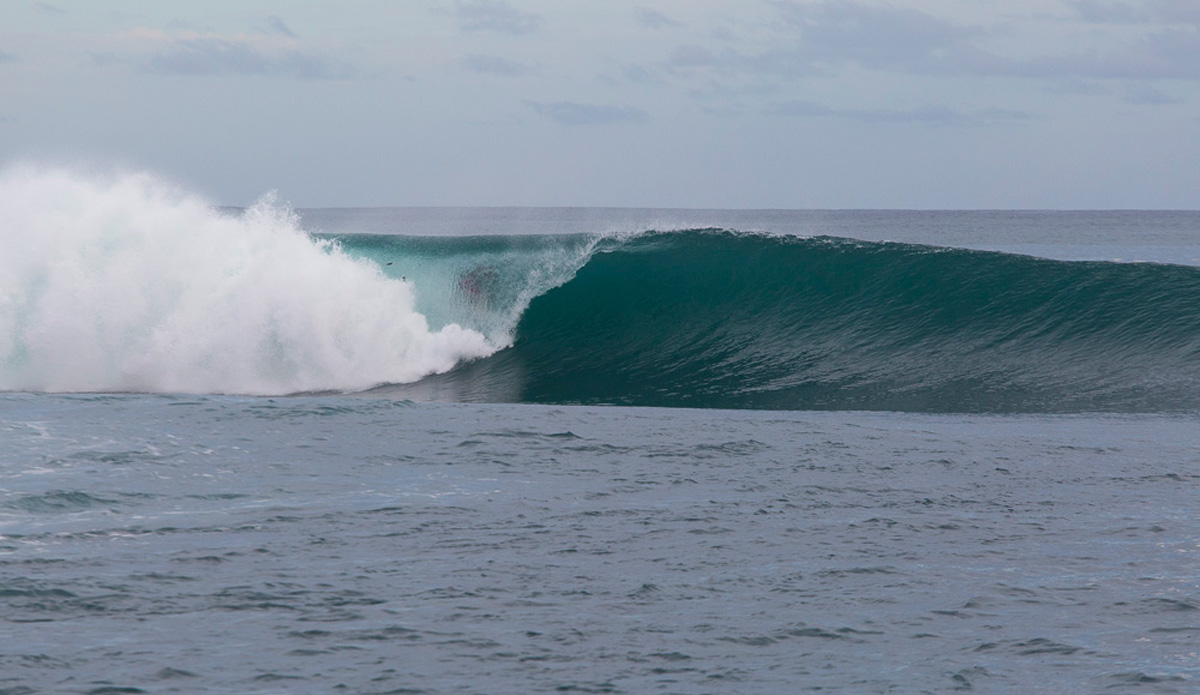 Photo: <a href=\"https://www.nickliotta.com\">Nick Liotta</a>