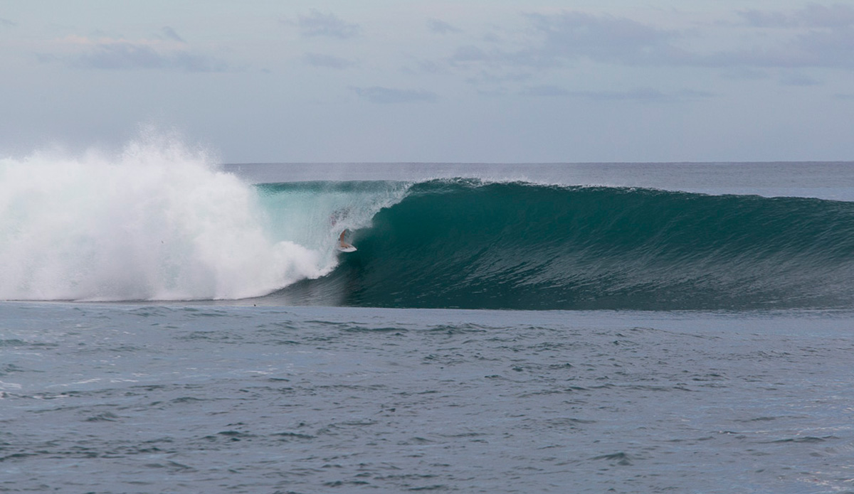 Photo: <a href=\"https://www.nickliotta.com\">Nick Liotta</a>