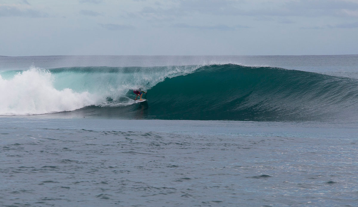 Photo: <a href=\"https://www.nickliotta.com\">Nick Liotta</a>