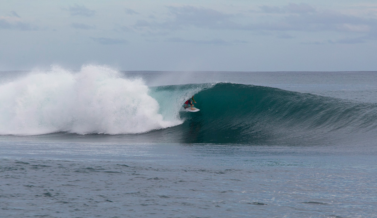 Photo: <a href=\"https://www.nickliotta.com\">Nick Liotta</a>