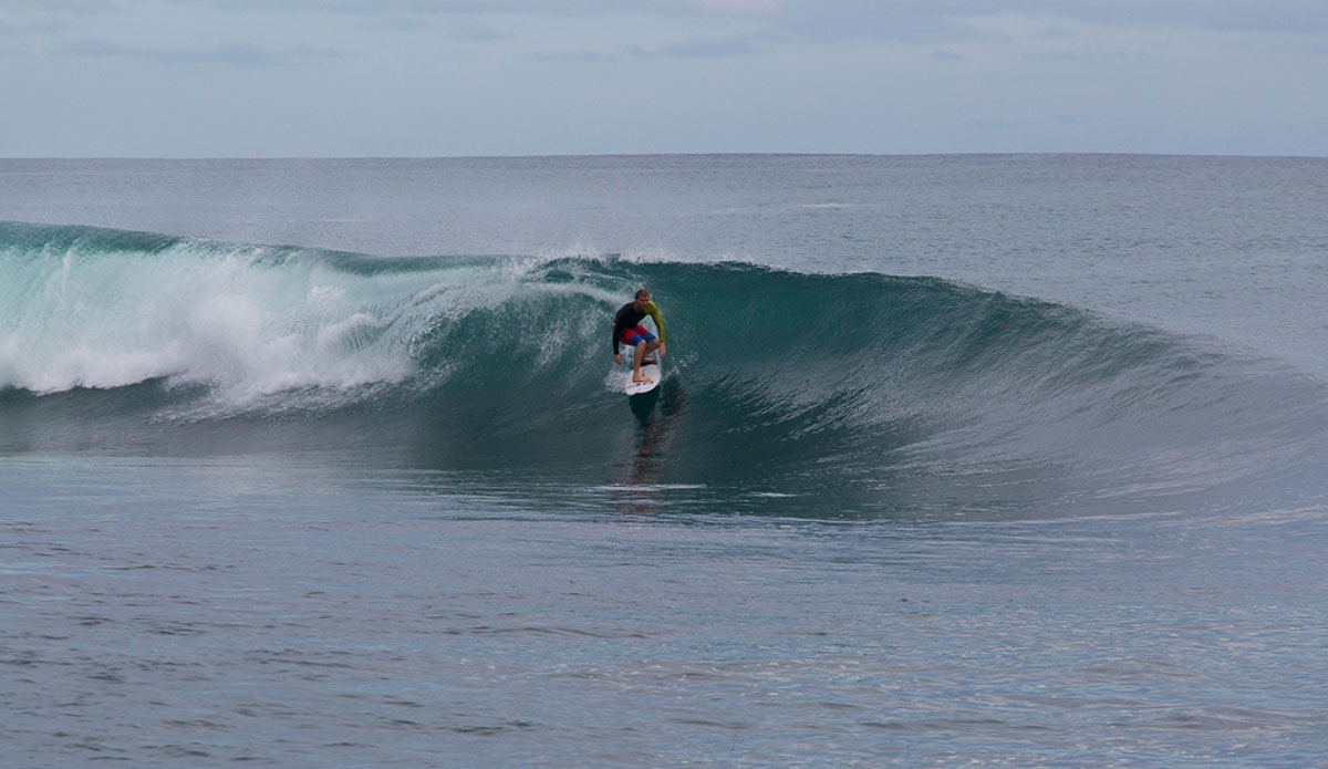 Photo: <a href=\"https://www.nickliotta.com\">Nick Liotta</a>