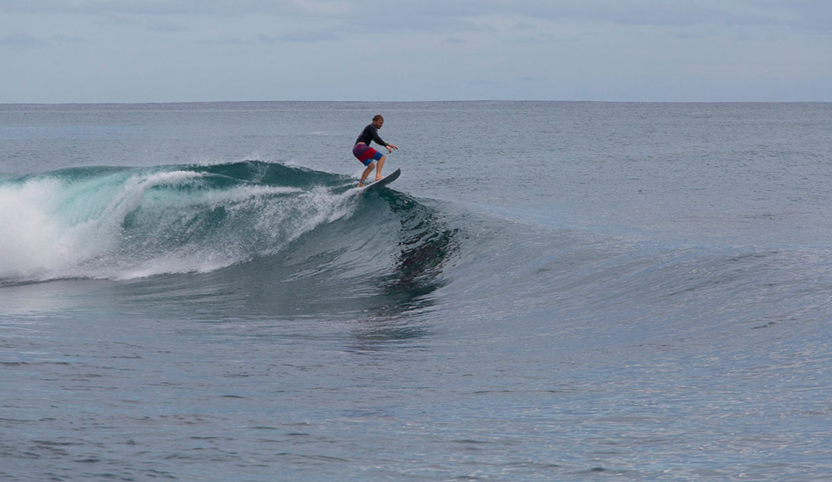 Photo: <a href=\"https://www.nickliotta.com\">Nick Liotta</a>