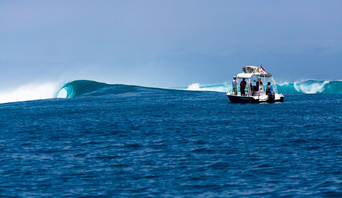 Photo: <a href=\"https://www.nickliotta.com\">Nick Liotta</a>