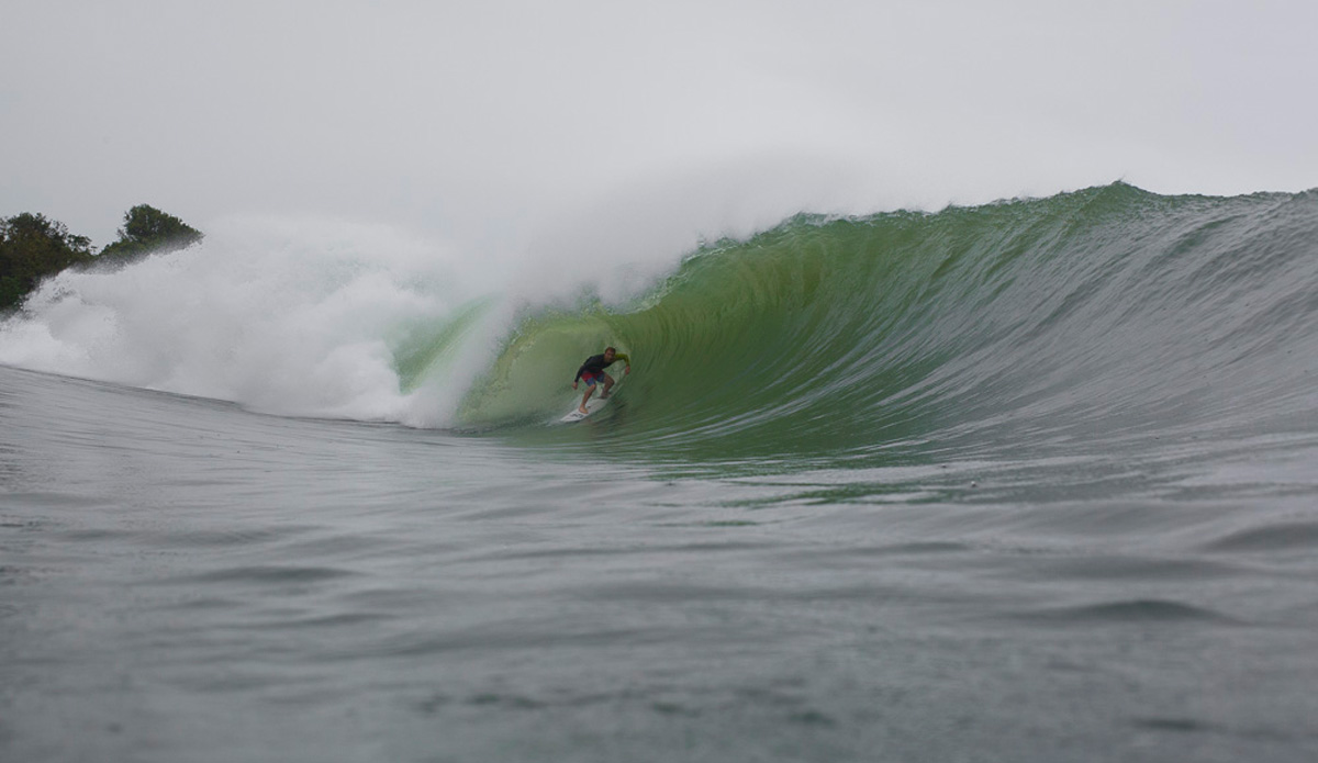 Photo: <a href=\"https://www.nickliotta.com\">Nick Liotta</a>