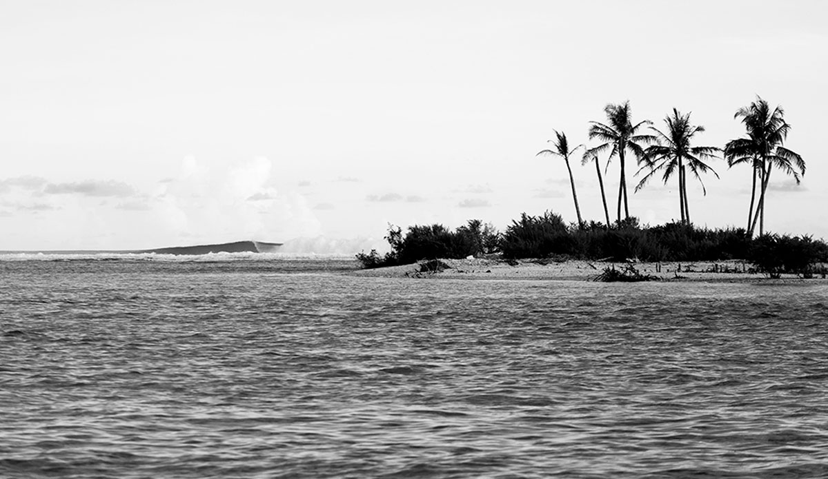 Photo: <a href=\"https://www.nickliotta.com\">Nick Liotta</a>