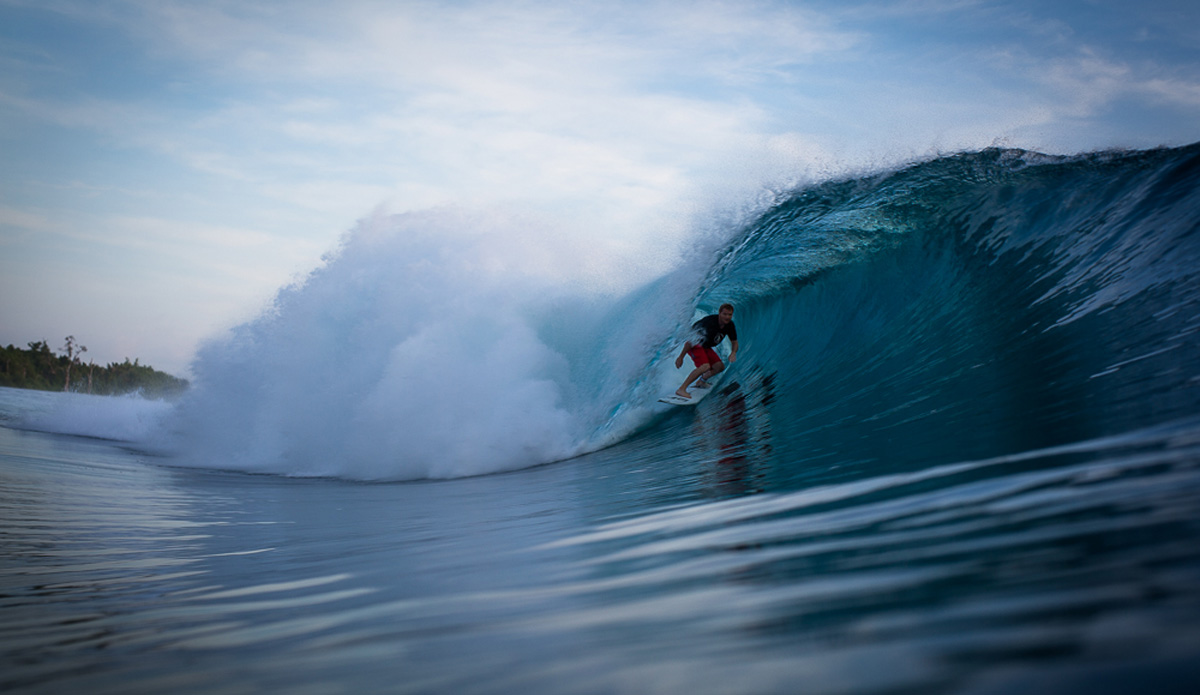 Photo: <a href=\"https://www.nickliotta.com\">Nick Liotta</a>