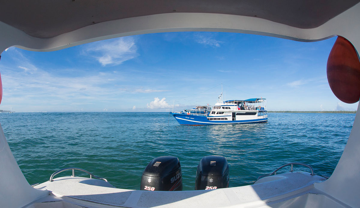 Photo: <a href=\"https://www.nickliotta.com\">Nick Liotta</a>