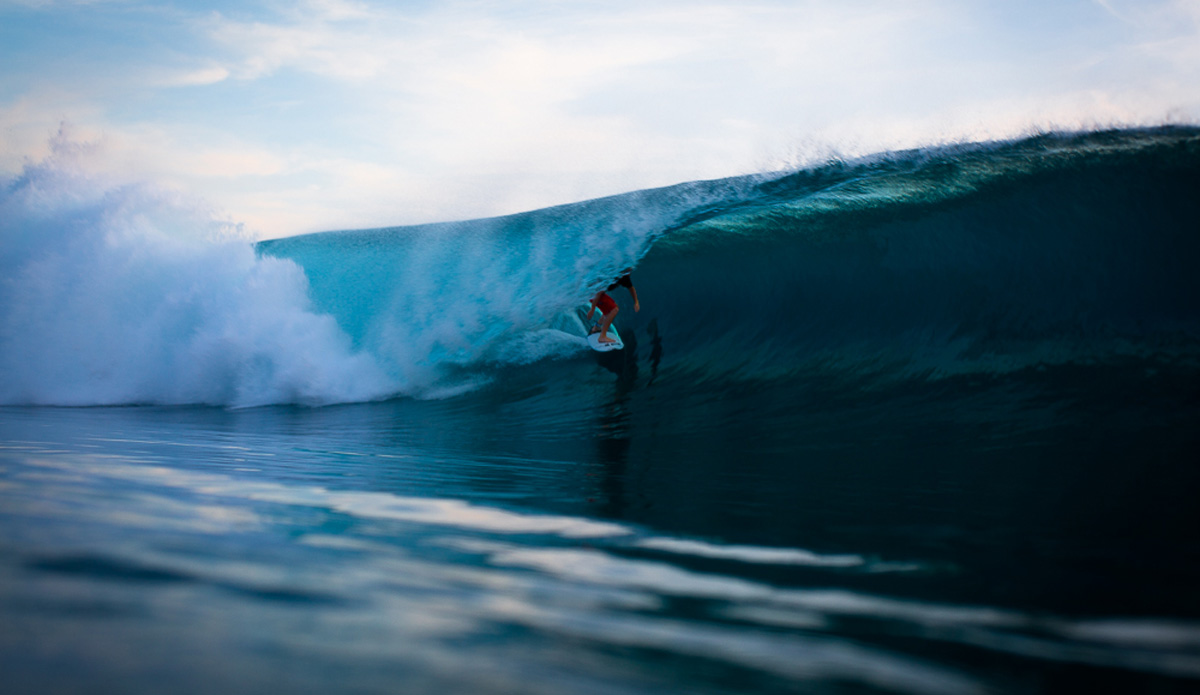 Photo: <a href=\"https://www.nickliotta.com\">Nick Liotta</a>