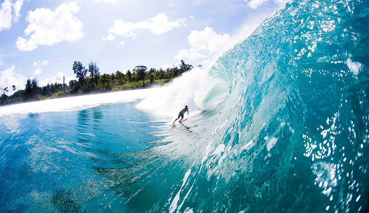 Photo: <a href=\"https://www.nickliotta.com\">Nick Liotta</a>