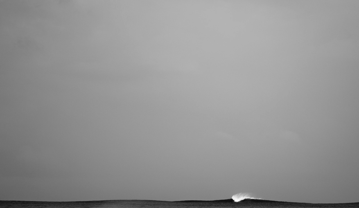 Photo: <a href=\"https://www.nickliotta.com\">Nick Liotta</a>