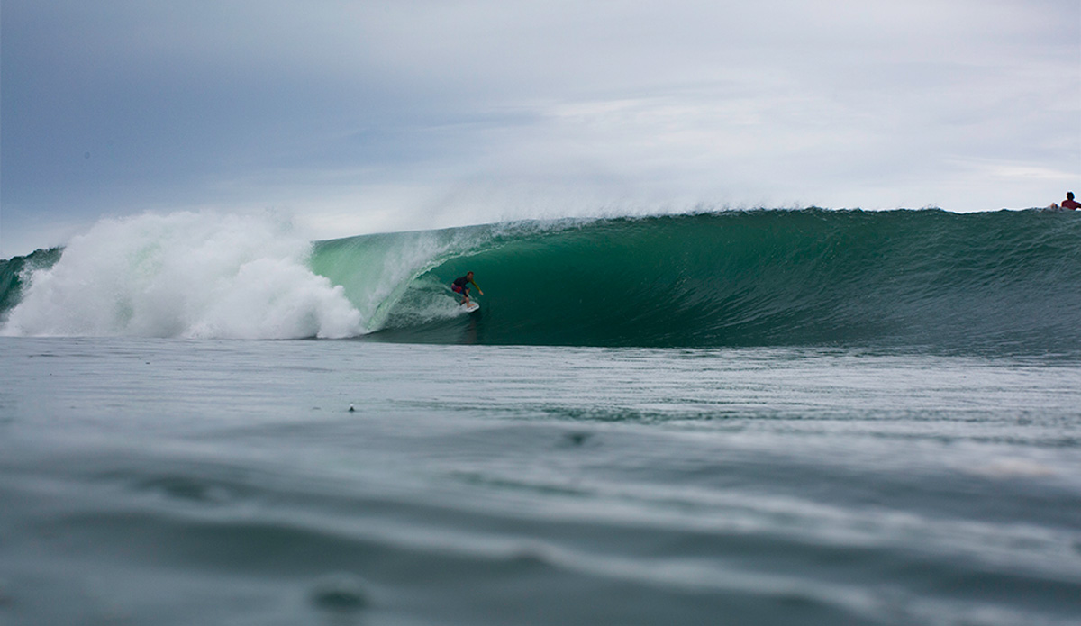 Photo: <a href=\"https://www.nickliotta.com\">Nick Liotta</a>