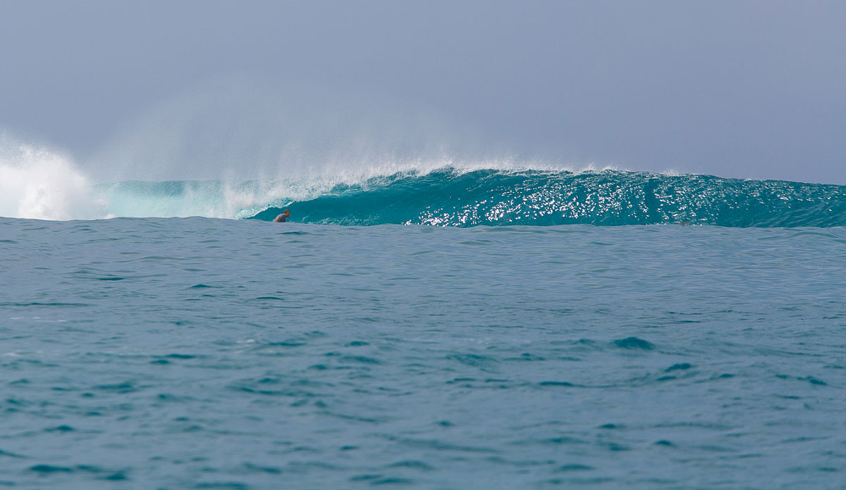 Photo: <a href=\"https://www.nickliotta.com\">Nick Liotta</a>