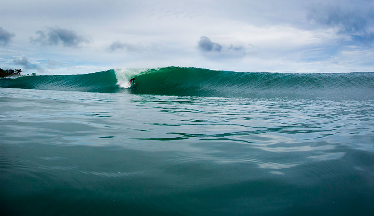 Photo: <a href=\"https://www.nickliotta.com\">Nick Liotta</a>