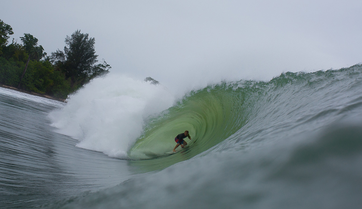 Photo: <a href=\"https://www.nickliotta.com\">Nick Liotta</a>