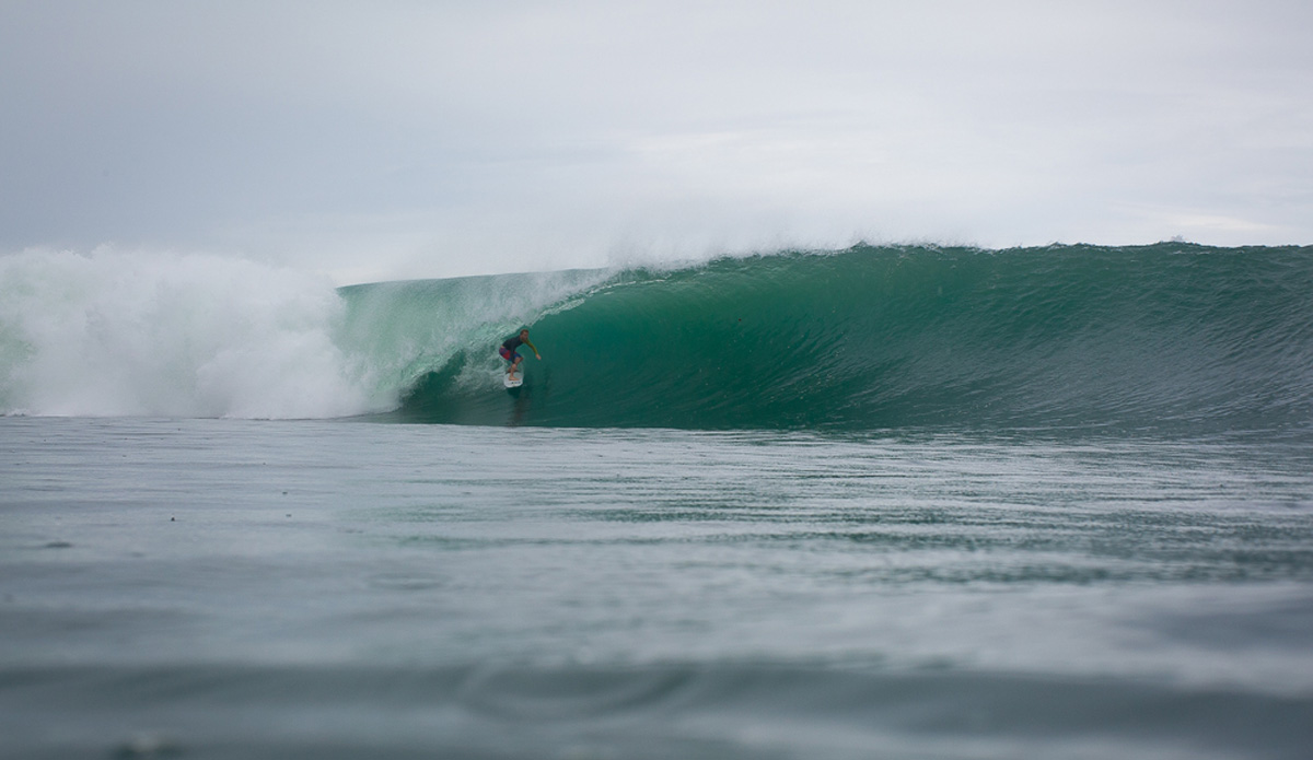 Photo: <a href=\"https://www.nickliotta.com\">Nick Liotta</a>