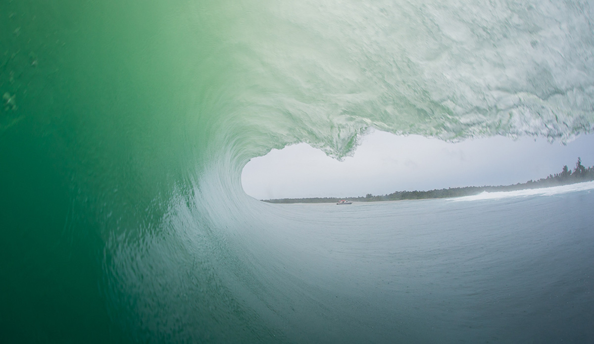 Photo: <a href=\"https://www.nickliotta.com\">Nick Liotta</a>