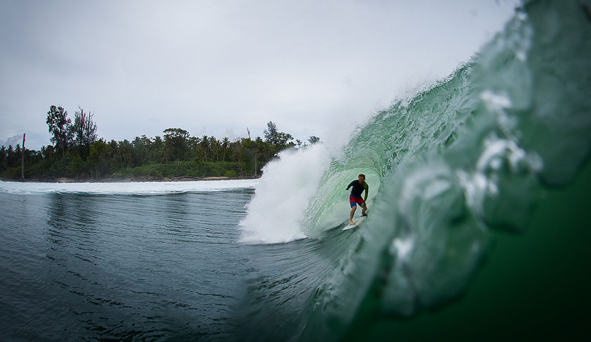 Photo: <a href=\"https://www.nickliotta.com\">Nick Liotta</a>