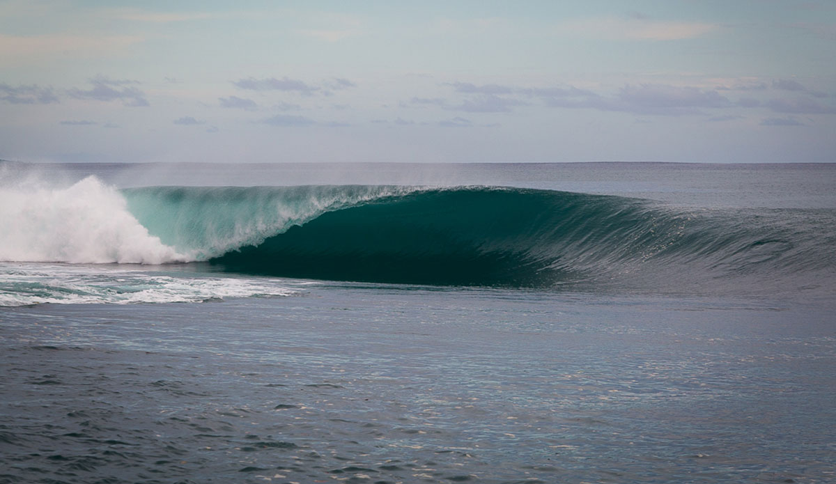 Photo: <a href=\"https://www.nickliotta.com\">Nick Liotta</a>