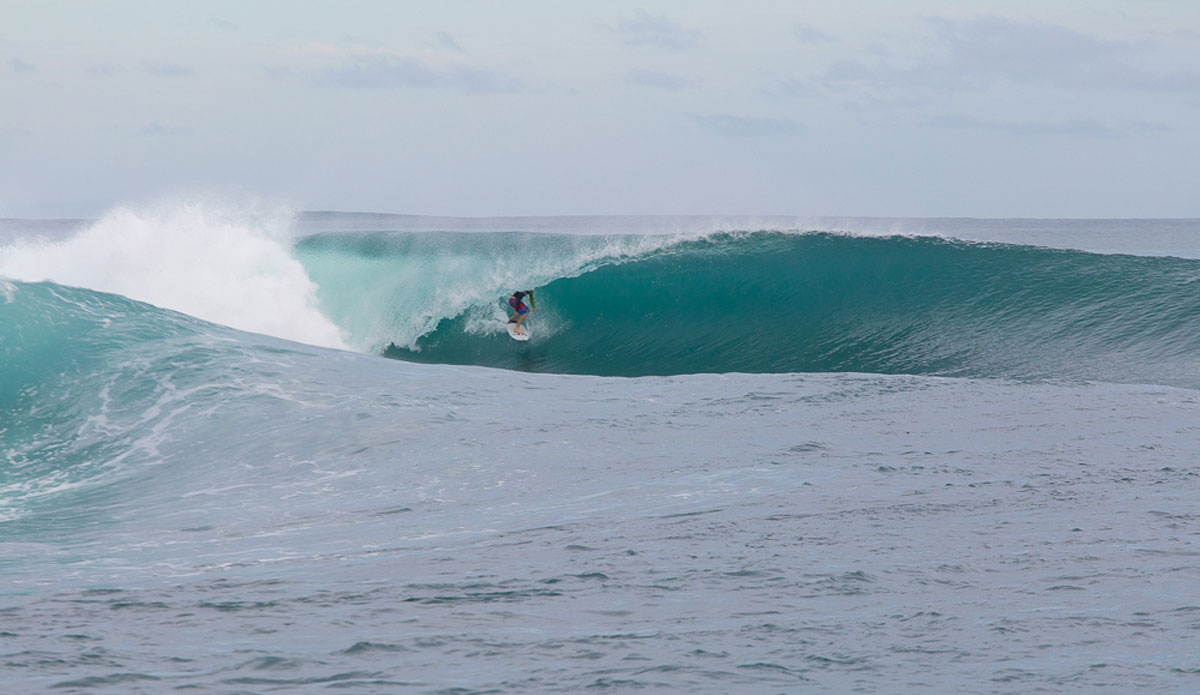 Photo: <a href=\"https://www.nickliotta.com\">Nick Liotta</a>