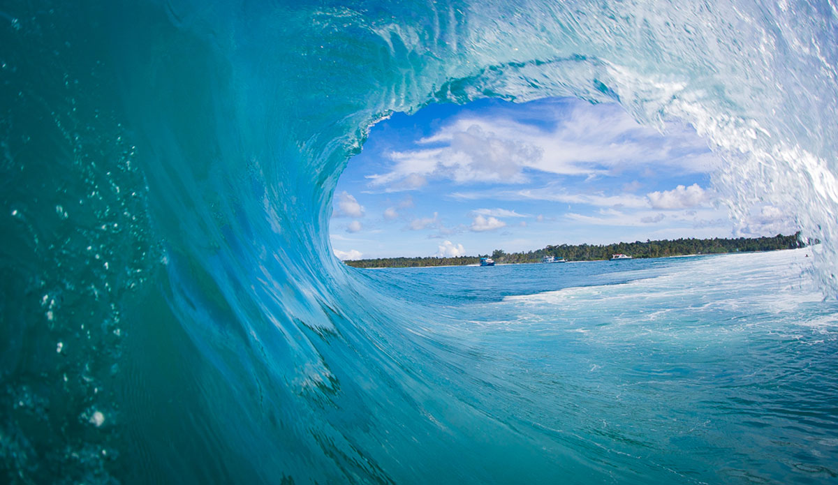 Photo: <a href=\"https://www.nickliotta.com\">Nick Liotta</a>