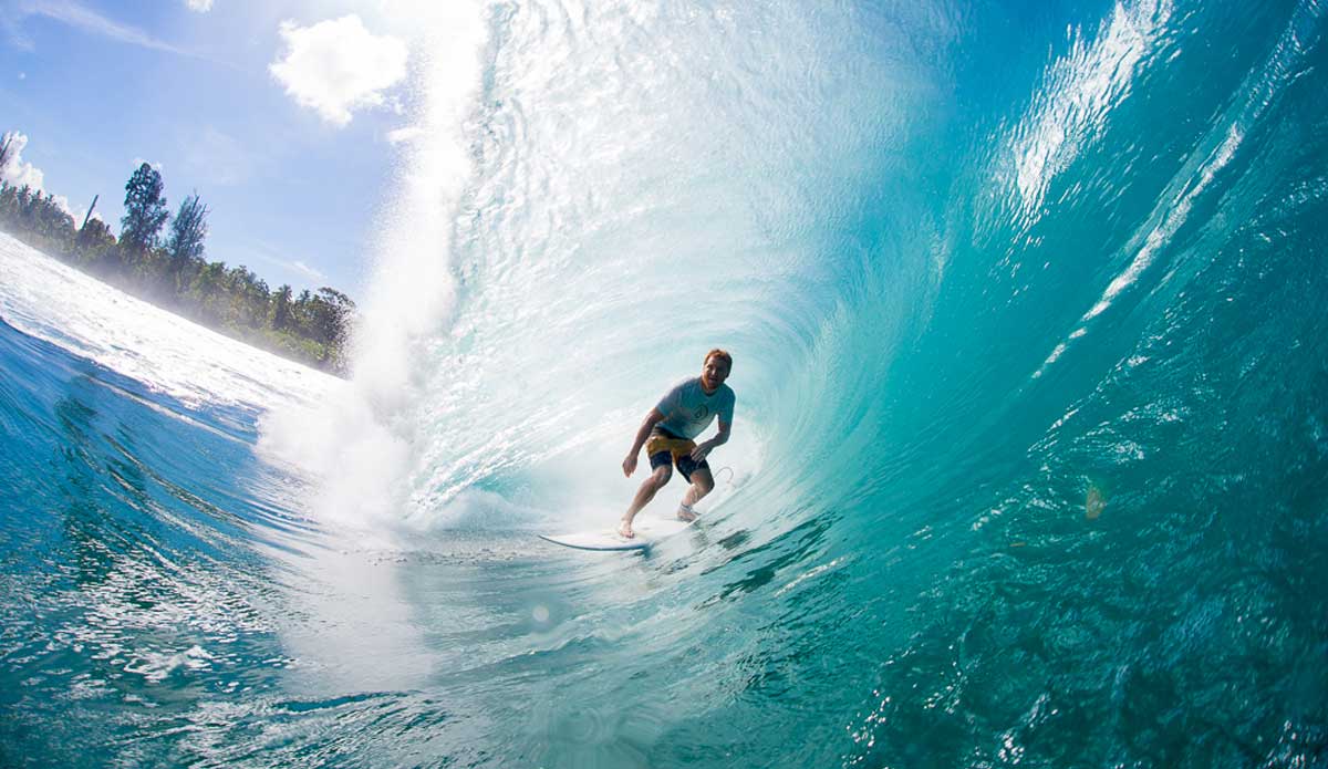 Photo: <a href=\"https://www.nickliotta.com\">Nick Liotta</a>