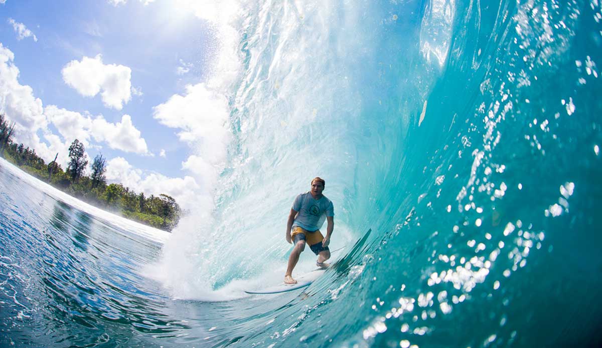 Photo: <a href=\"https://www.nickliotta.com\">Nick Liotta</a>