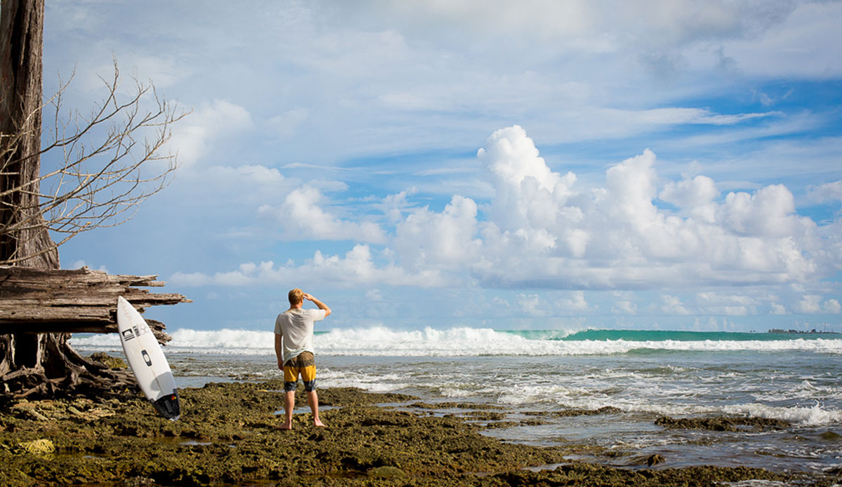 Photo: <a href=\"https://www.nickliotta.com\">Nick Liotta</a>