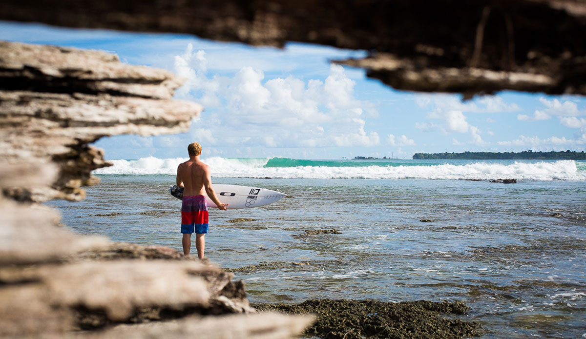 Photo: <a href=\"https://www.nickliotta.com\">Nick Liotta</a>