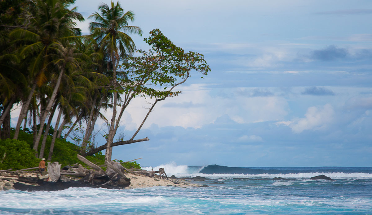 Photo: <a href=\"https://www.nickliotta.com\">Nick Liotta</a>