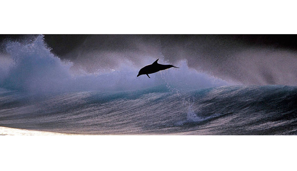 Archrock, South Africa. A big  thumping day for us to be in the shorebreak at first light, but this 10\'  Bottlenose is pulling some big air. Photo: <a href=\"https://www.greghuglin.com\">Greg Huglin.</a>