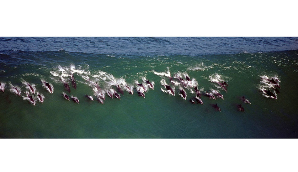 Jeffrey\'s Bay, South Africa 2004.  Big day, big group, big helicopter bill. Photo: <a href=\"https://www.greghuglin.com\">Greg Huglin.</a>