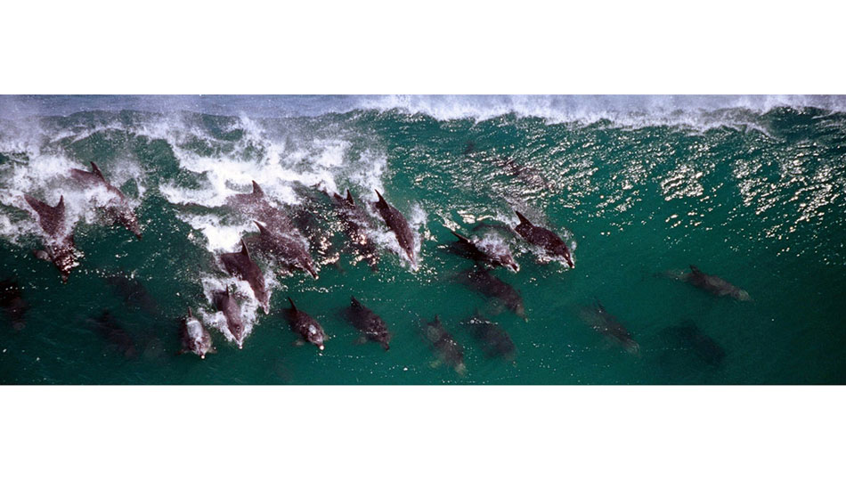 Nature\'s Valley, South Africa, 2000.  I was in the front seat of a motorized glider piloted by a crazy Englishman  who launched the glider from an island in the middle of a river. Photo: <a href=\"https://www.greghuglin.com\">Greg Huglin.</a>