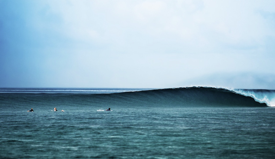 This is the most perfect lineup I have ever seen. I was speechless.