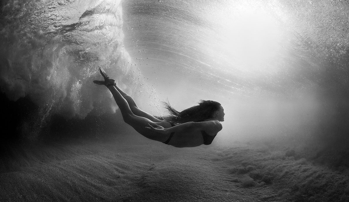 Photo: <a href=\"https://www.laserwolfphoto.com/\">Laserwolf</a>